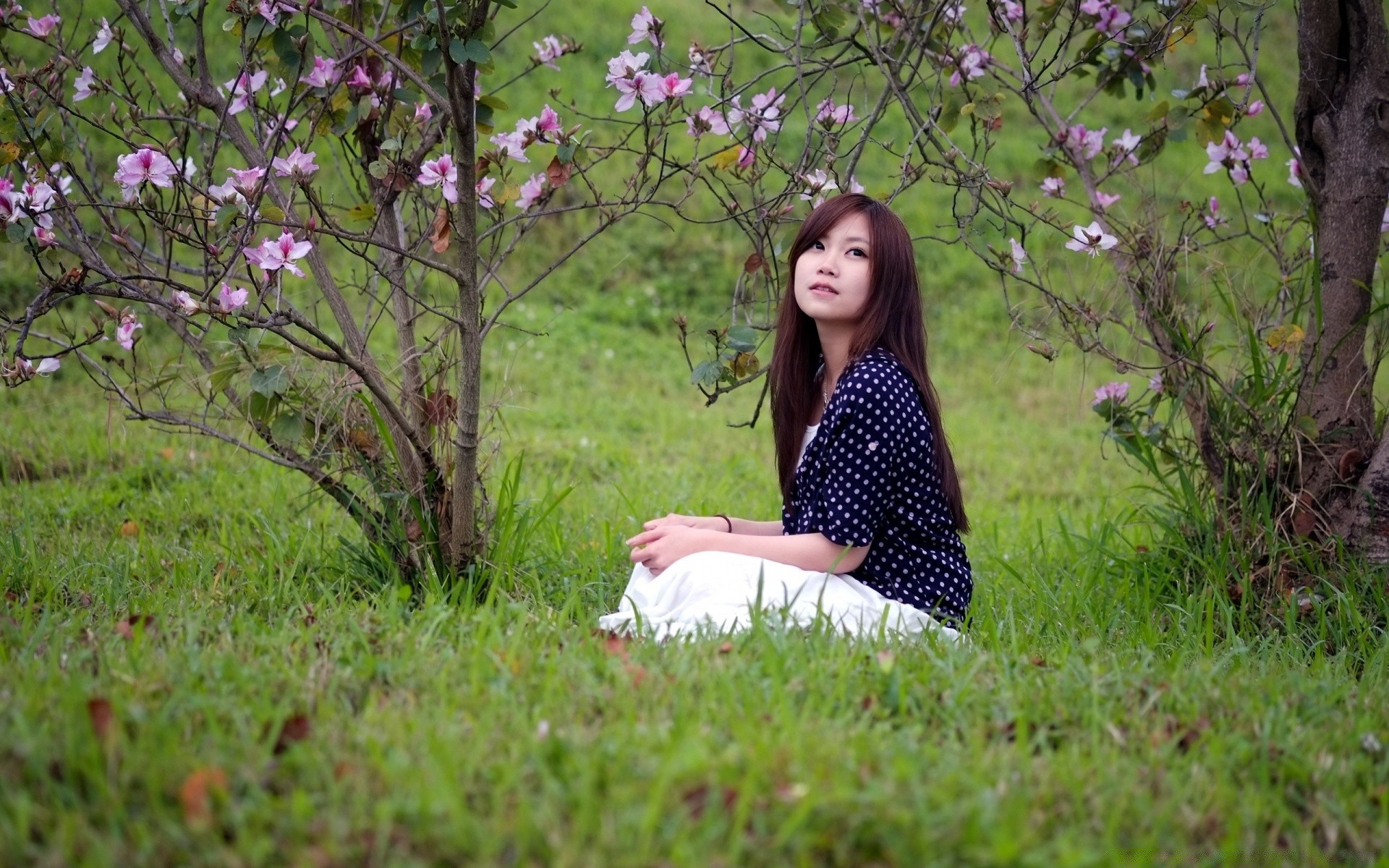 其他女孩 自然 公园 草 户外 花 夏天 树 haymaking 美丽 字段 女孩 放松 外面 花园 农村 好天气 木材