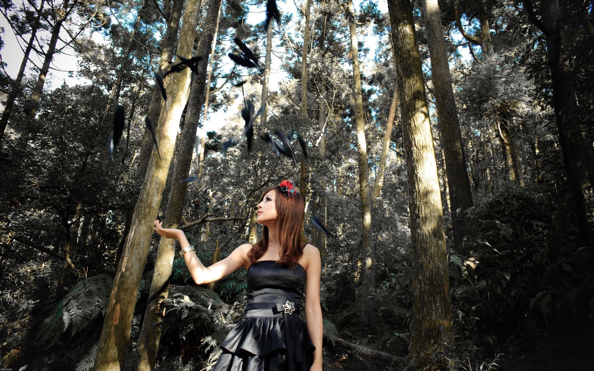 autre fille arbre bois nature femme fille parc à l extérieur belle adulte un