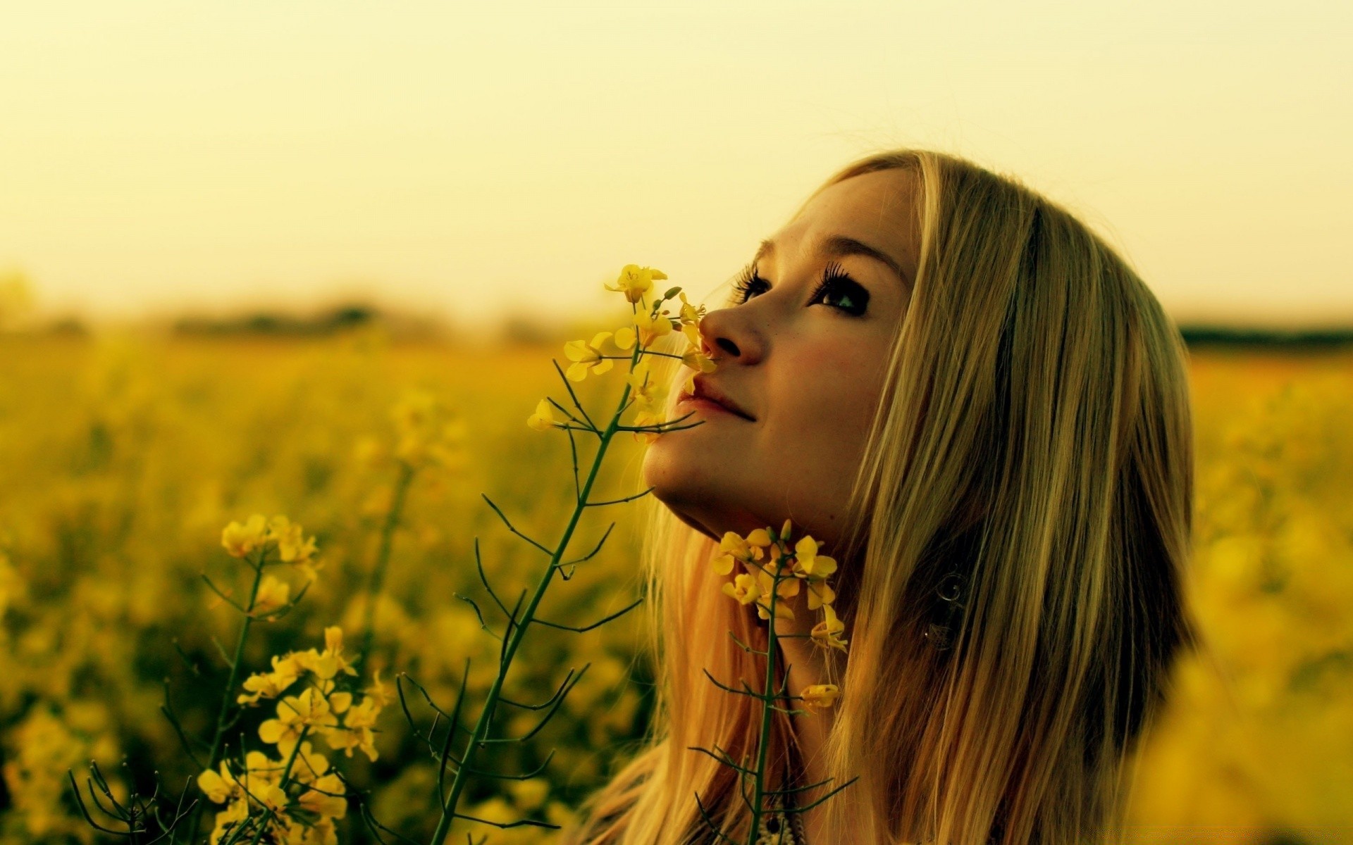 Девушка, цветы, осень, блондинка скачать