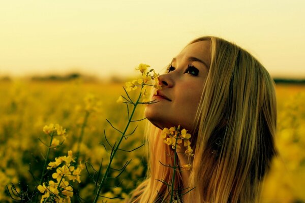 Mädchen in der Natur im Feld mit Blumen