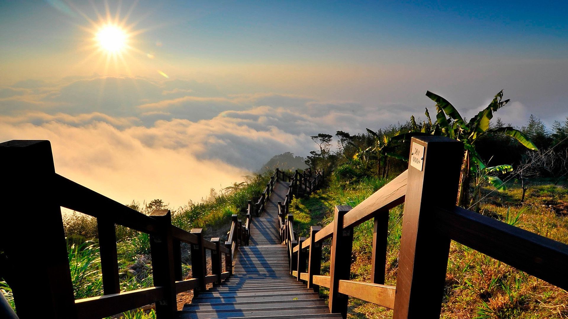 luce solare e raggi tramonto alba cielo sole viaggi natura legno luce all aperto paesaggio bel tempo albero estate ponte guida montagna