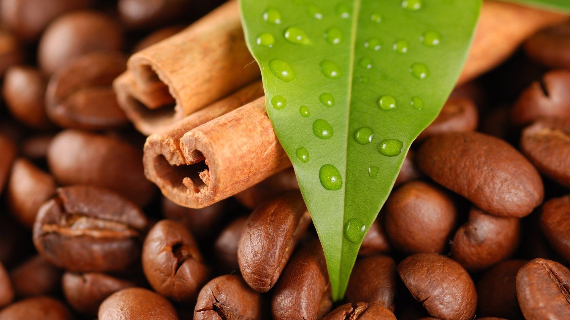 alimentos y bebidas café cafeína frijoles perfume comida oscuro espresso bebida amanecer moca aromático capuchino semilla madera escritorio cosecha sabor