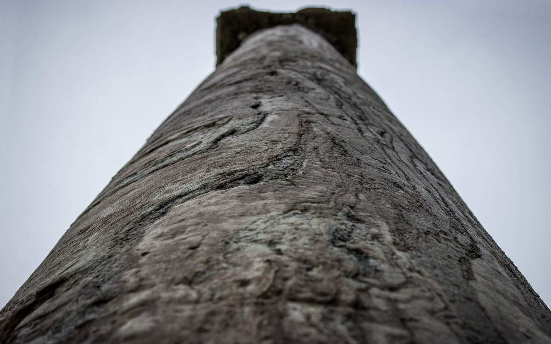 house and comfort old tree sky nature outdoors wood texture architecture desktop bark landscape wall rock