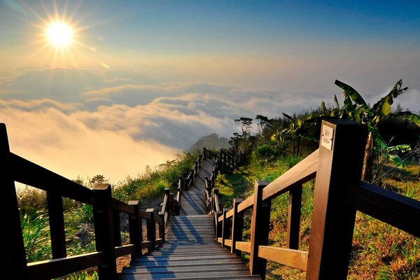 Escaleras que bajan a las nubes en medio de la vegetación