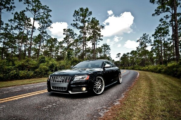 Carro preto Audi andando na estrada entre a floresta