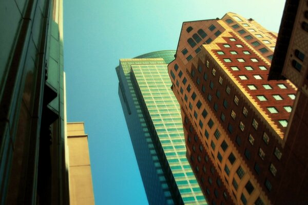 View of the skyscrapers from below