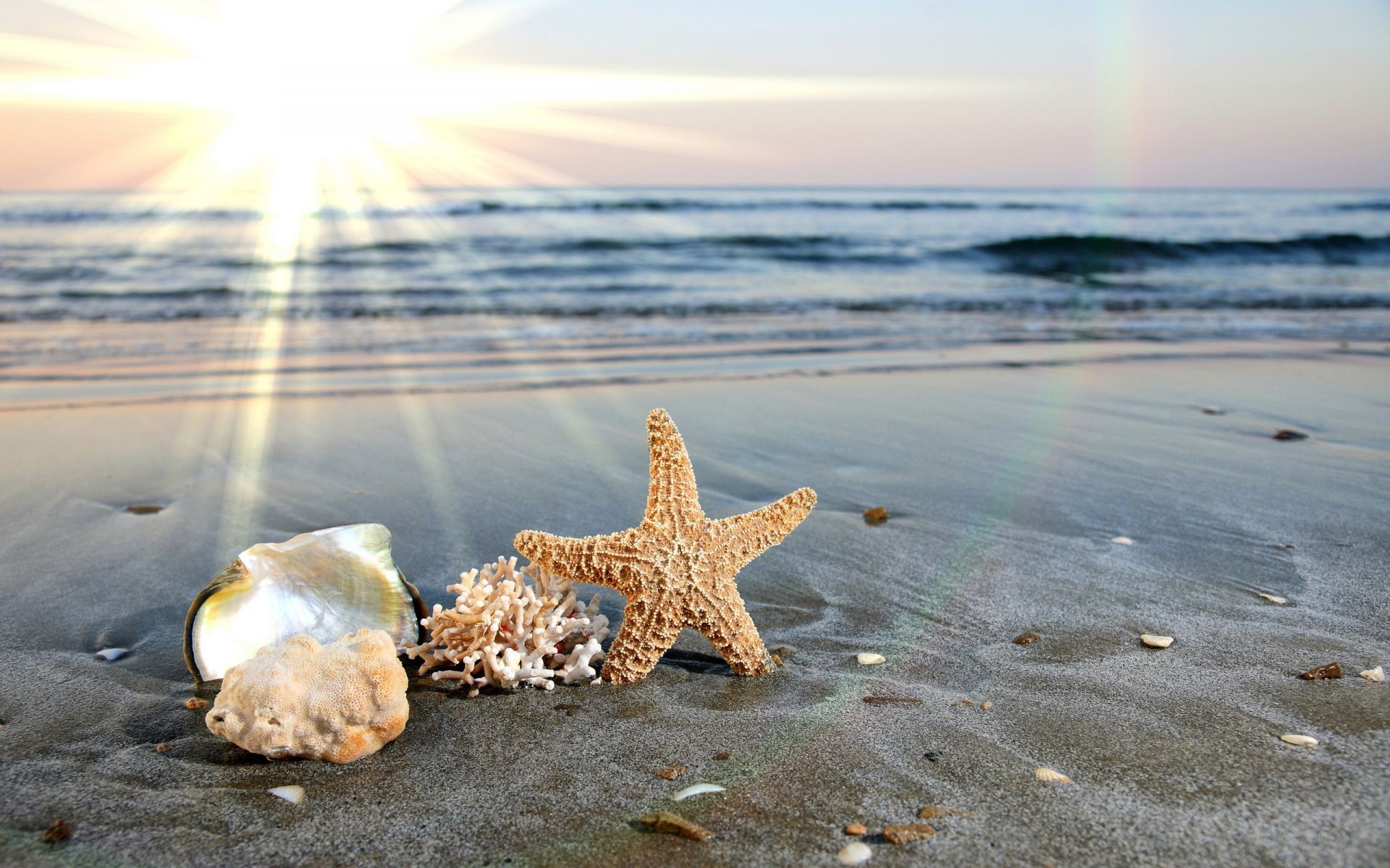 meer und ozean strand wasser sand meer meer ozean natur sommer reisen sonne sonnenuntergang küste tropisch urlaub gutes wetter brandung himmel schale welle