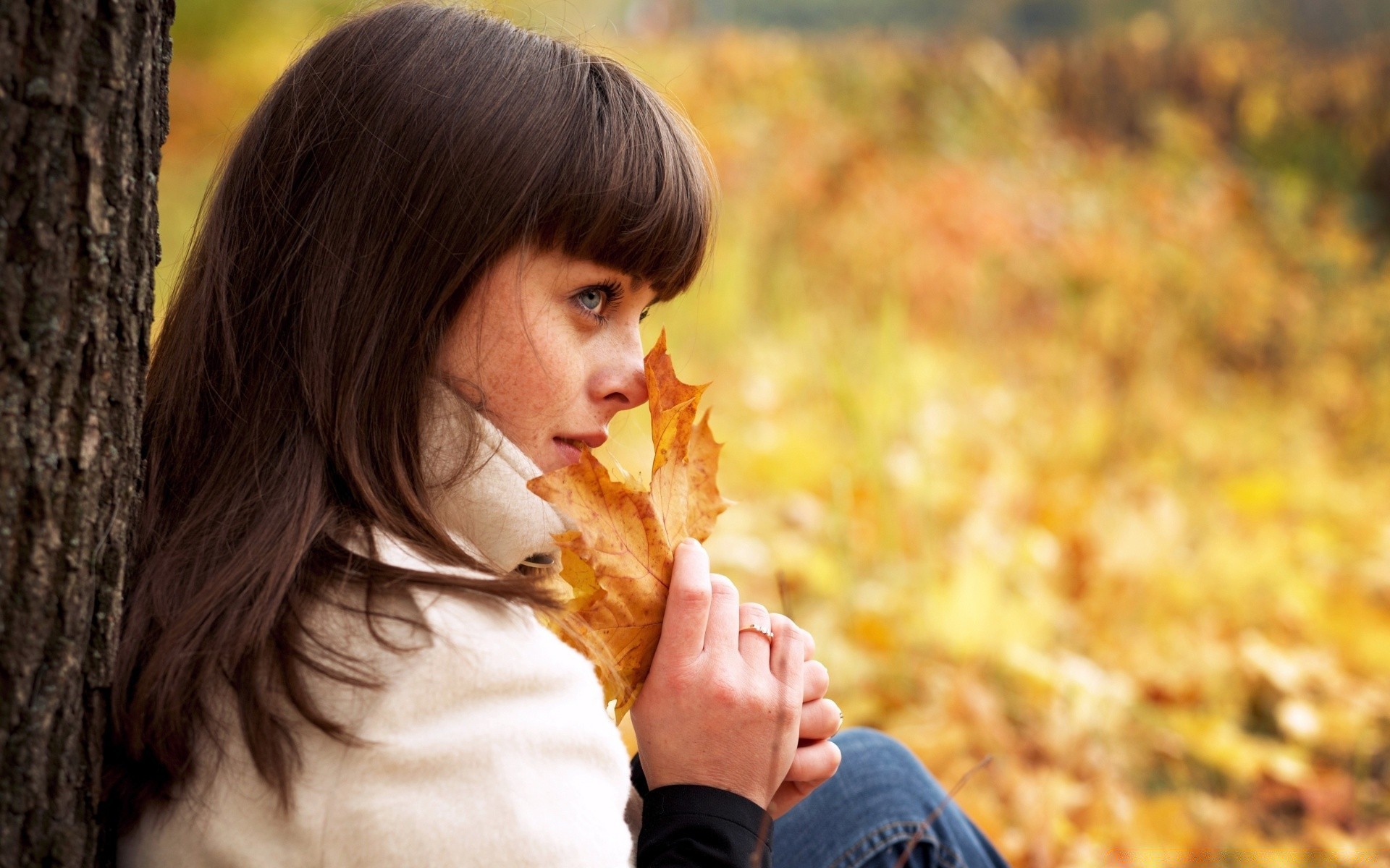 otras chicas otoño chica mujer solo retrato naturaleza sonrisa lindo ocio placer joven cabello felicidad bonita adulto hermosa al aire libre alegría