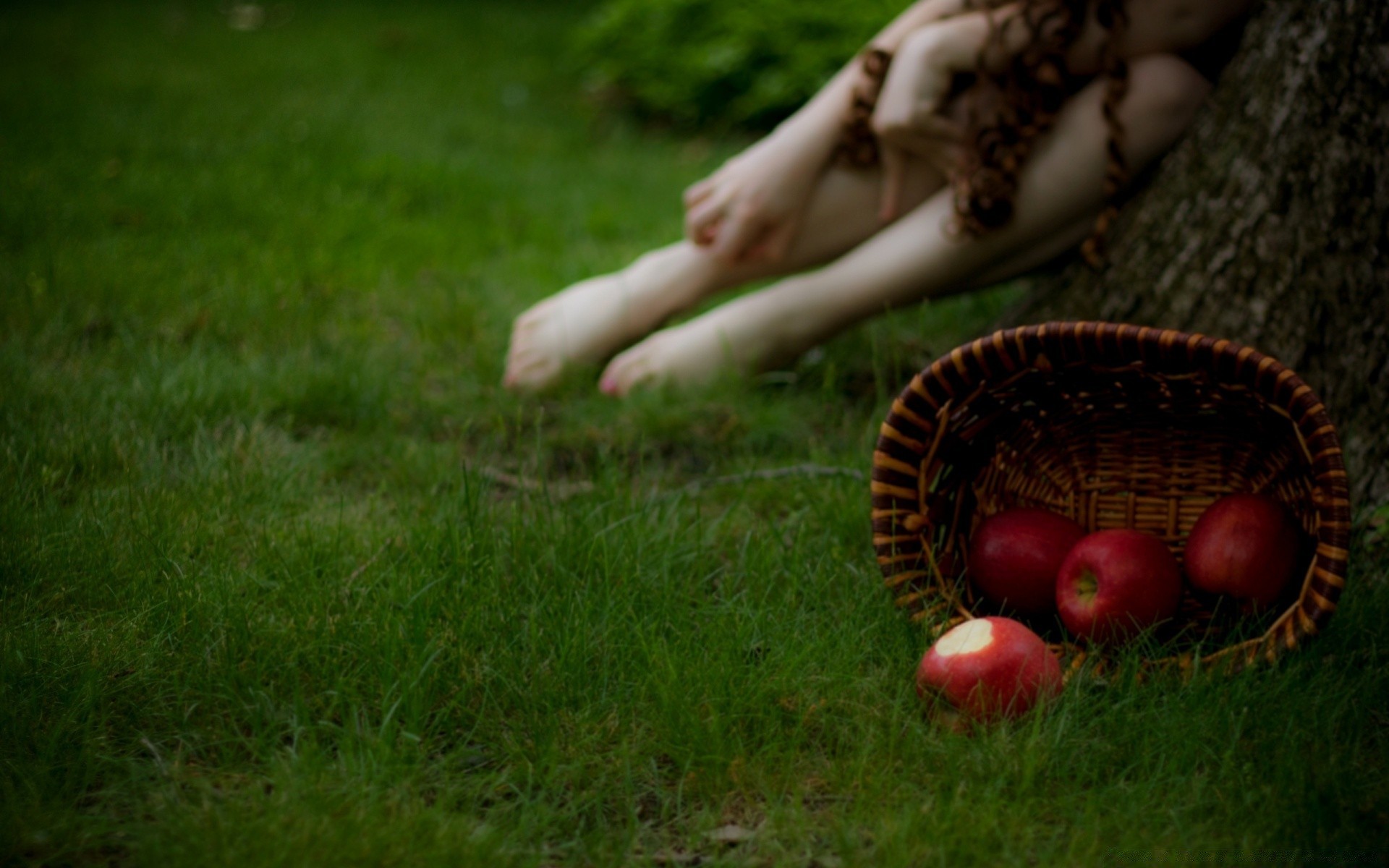 the other girls grass nature summer outdoors one wood garden fall park basket field girl recreation