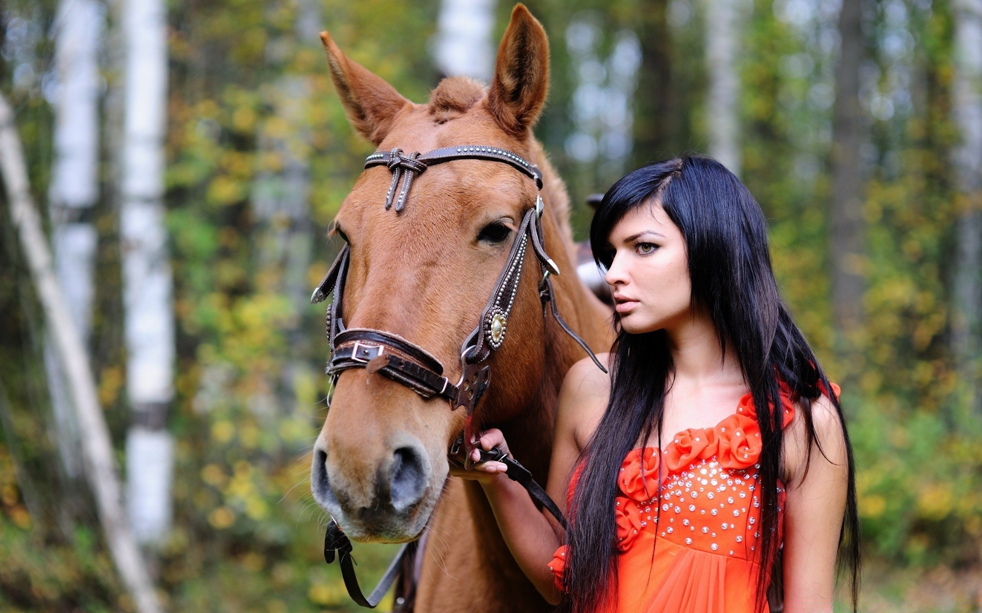 autres filles nature en plein air femme été cavalerie portrait loisirs