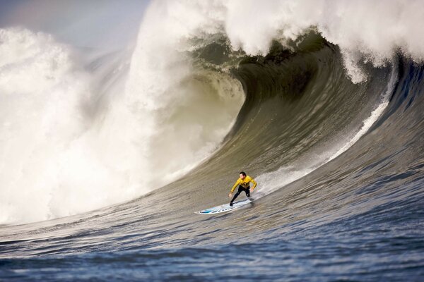 Surfing. conquering the big wave. ocean