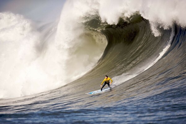 Surf. la conquête de la grande vague. océan