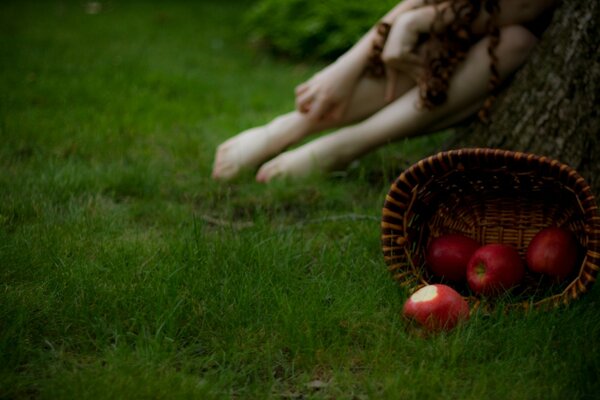 Fille dans la nature et à l extérieur