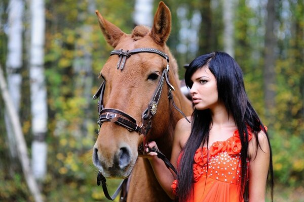 Fille avec un cheval brun