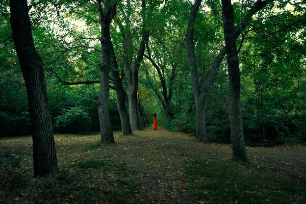 The girl in red in the gloomy forest