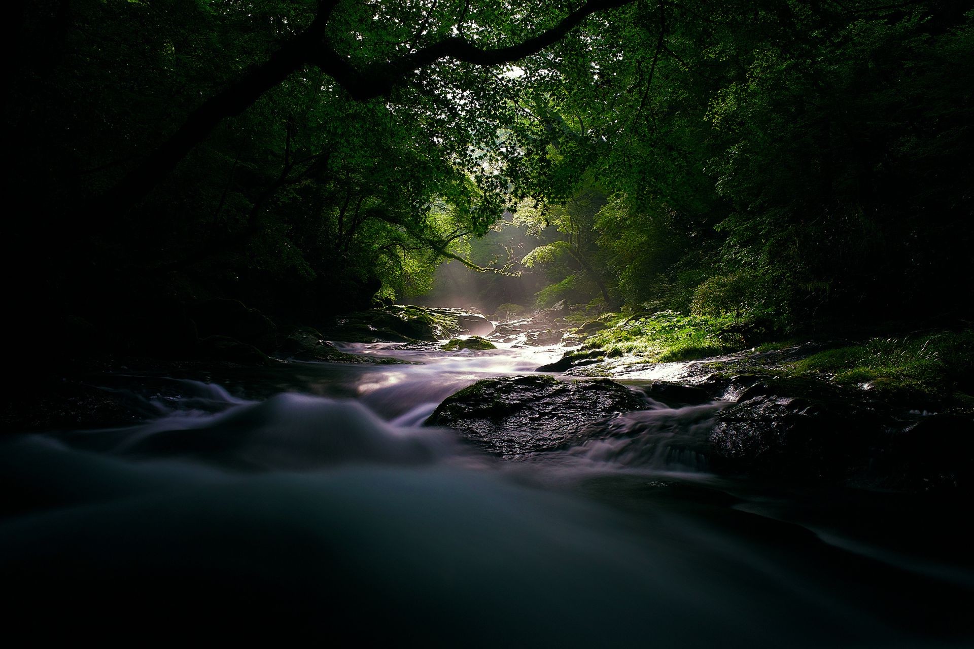 rivières étangs et ruisseaux étangs et ruisseaux eau rivière paysage nature cascade bois lumière bois