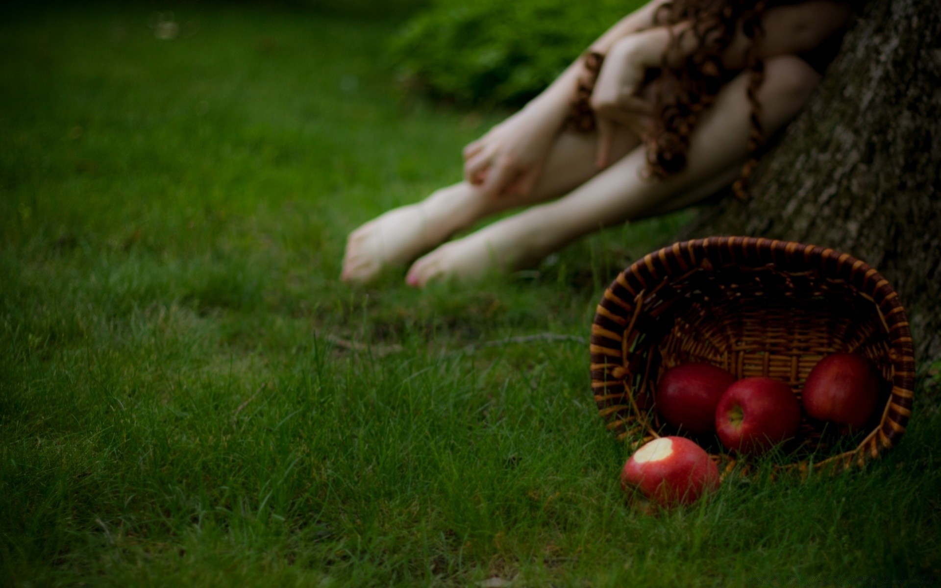 otras chicas hierba naturaleza verano jardín al aire libre madera otoño parque campo césped ocio solo árbol