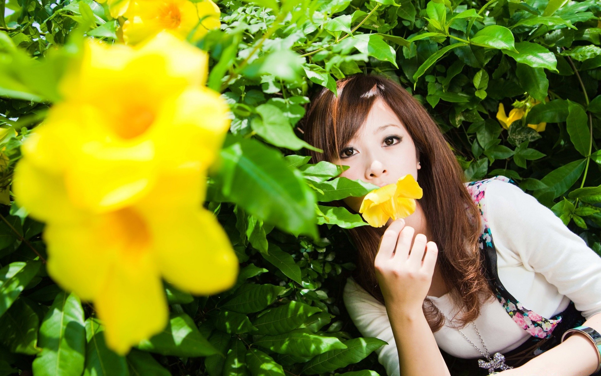 outras garotas natureza folha flor verão bela jardim menina flora parque mulher árvore grama ao ar livre