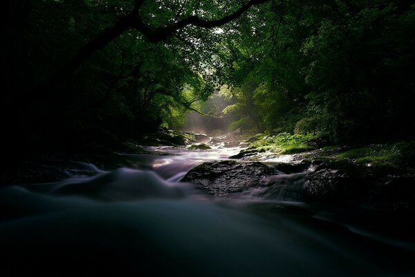 La bella natura del fiume tempestoso