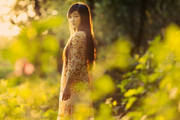 Menina com aparência asiática na natureza bonita