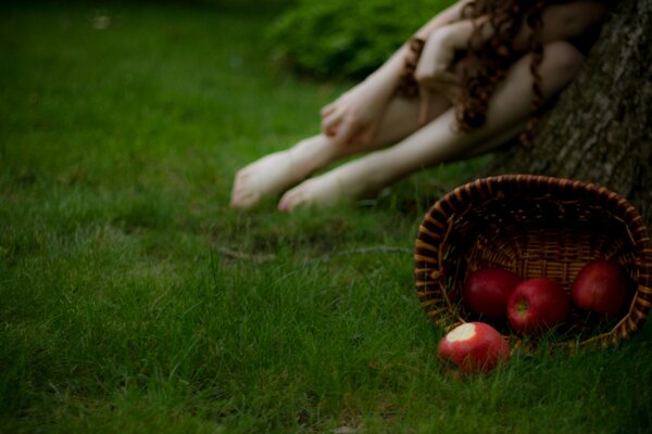 Scattered red apples on the green grass