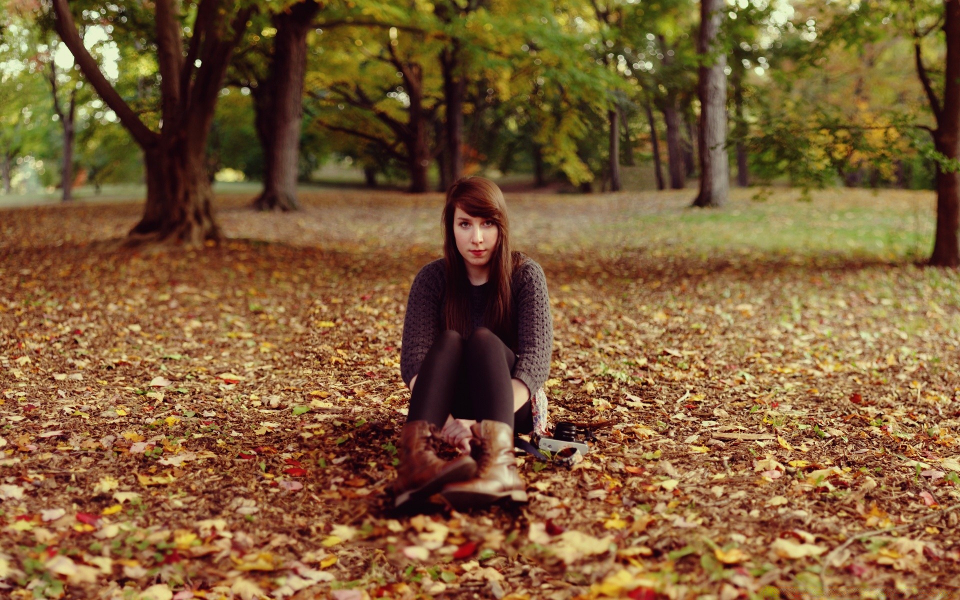 otras chicas otoño hoja naturaleza parque chica madera árbol al aire libre arce paisaje mujer temporada paseo solo oro sol buen tiempo