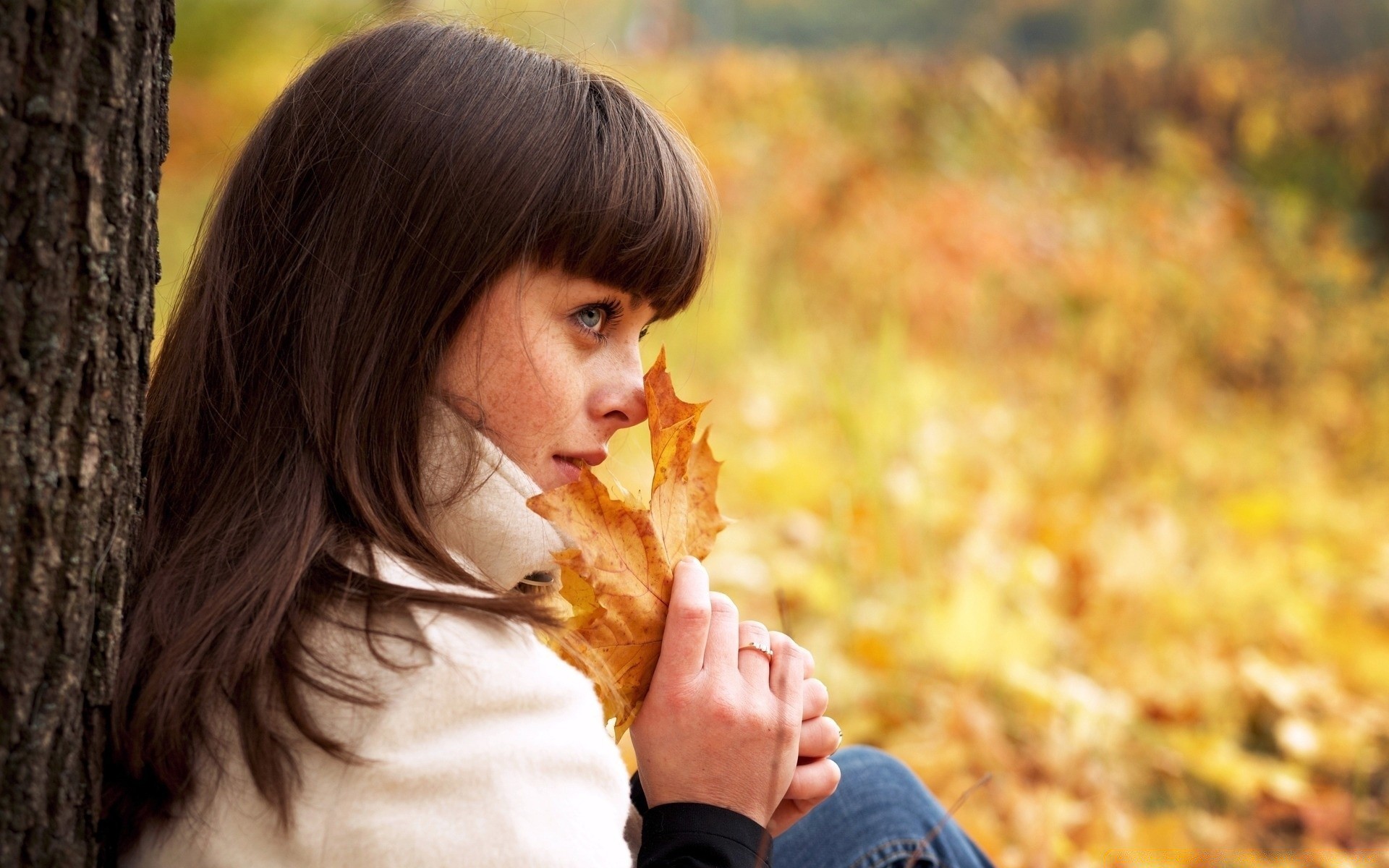 the other girls fall girl woman nature one portrait beautiful smile happiness leisure adult outdoors cute maple young park fun hair pretty