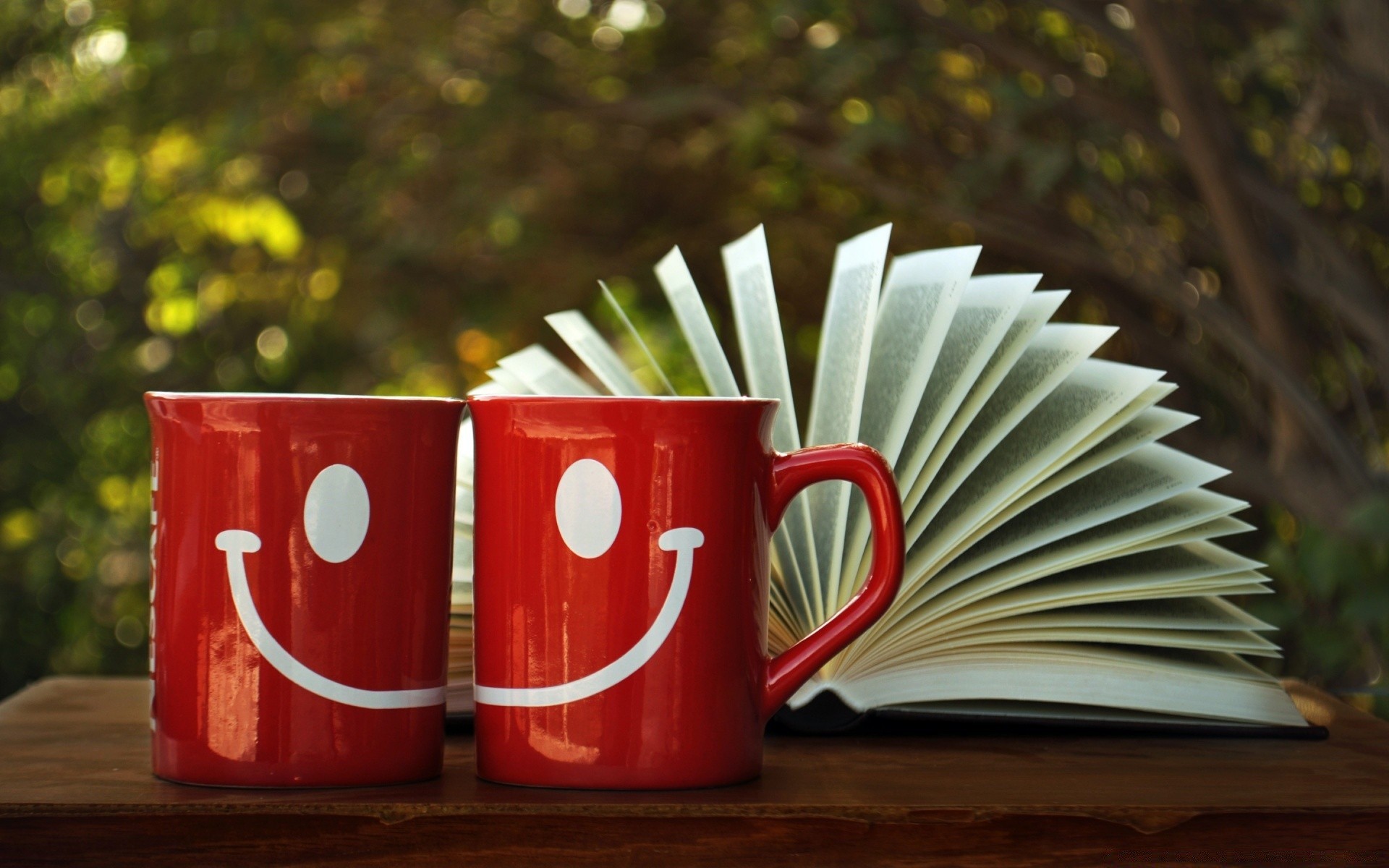 cuori educazione legno scuola tavolo natura morta libro caffè