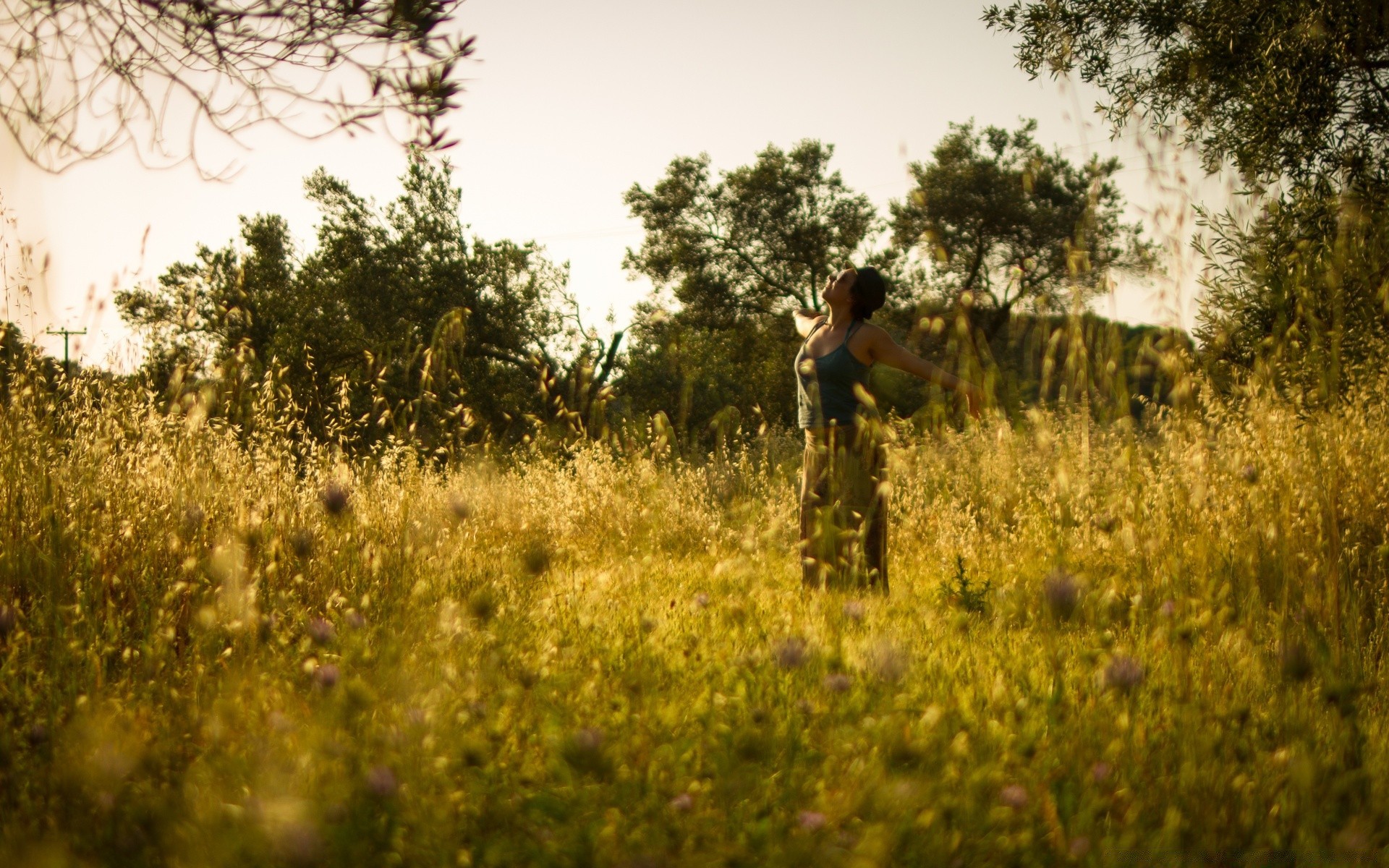 otras chicas paisaje campo naturaleza al aire libre árbol heno hierba tierra cultivada verano campo medio ambiente cielo madera amanecer atardecer parque luz del día solo rural buen tiempo