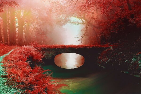 Ponte sullo stagno e alberi rossi