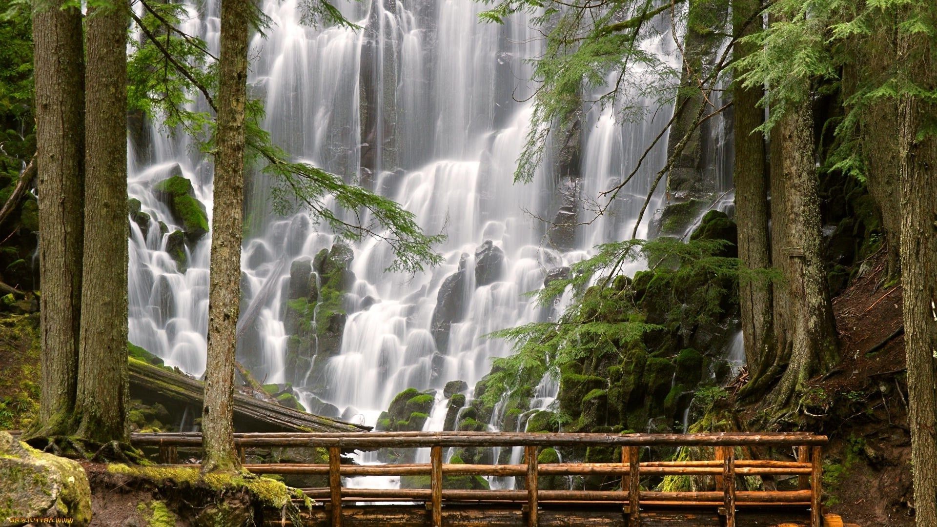 waterfalls nature wood water waterfall leaf fall summer flora stream outdoors stone wet landscape tree park cascade tropical river moss