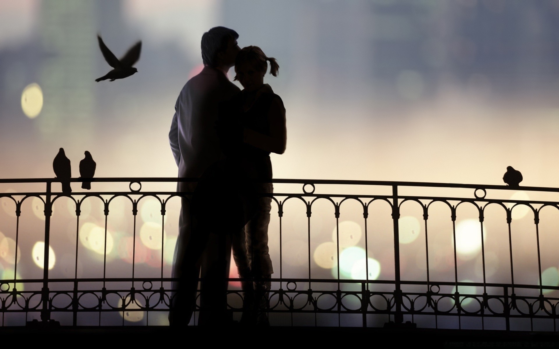 cuori silhouette tramonto città uccello luce uomo adulto da solo ragazza ponte viaggi