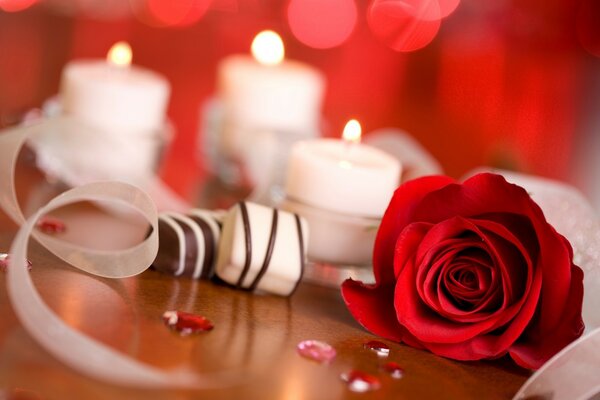 Rose e candele bianche romanticismo