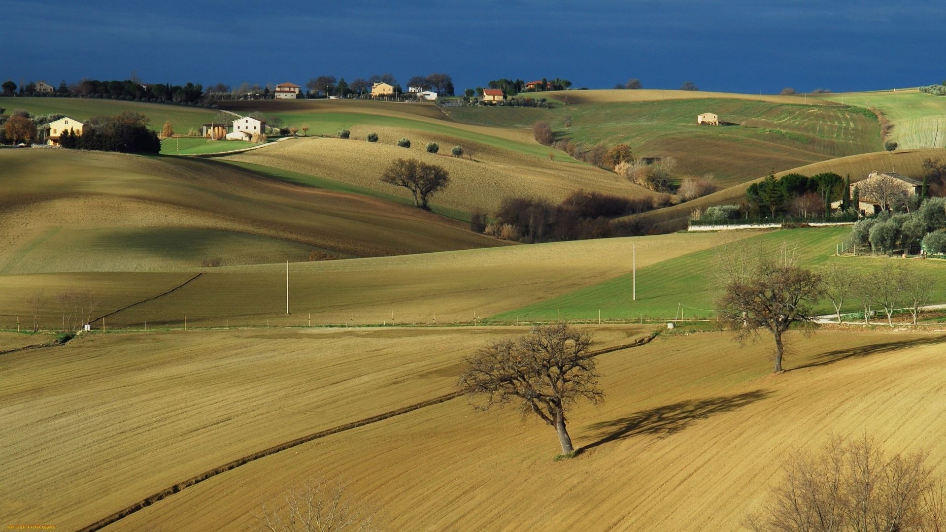 landscapes landscape cropland agriculture nature outdoors pastoral countryside tree hill grass cypress rural daylight sky farm travel field scenic