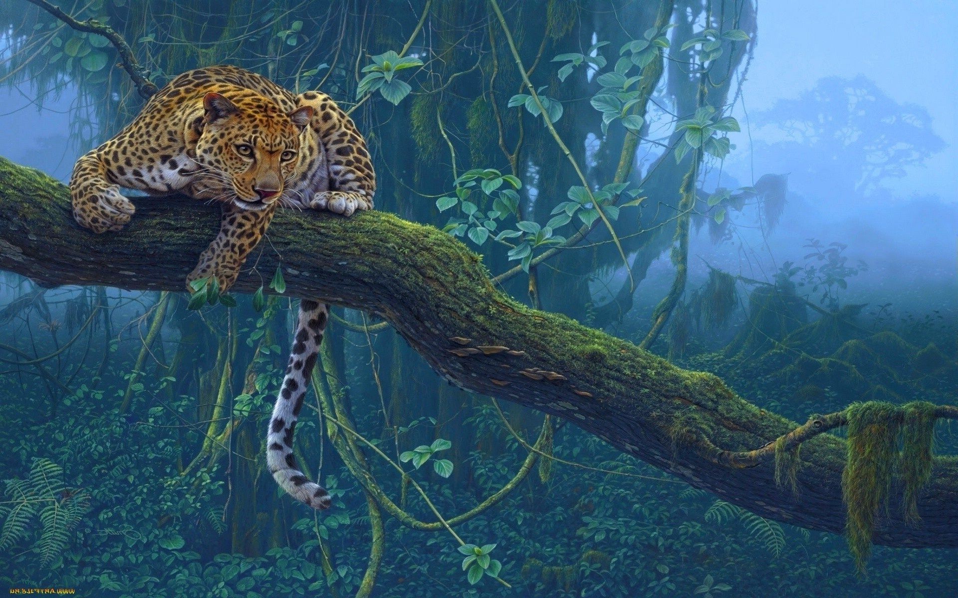 leopards underwater wildlife water nature fish swimming animal environment outdoors predator wild tropical exotic