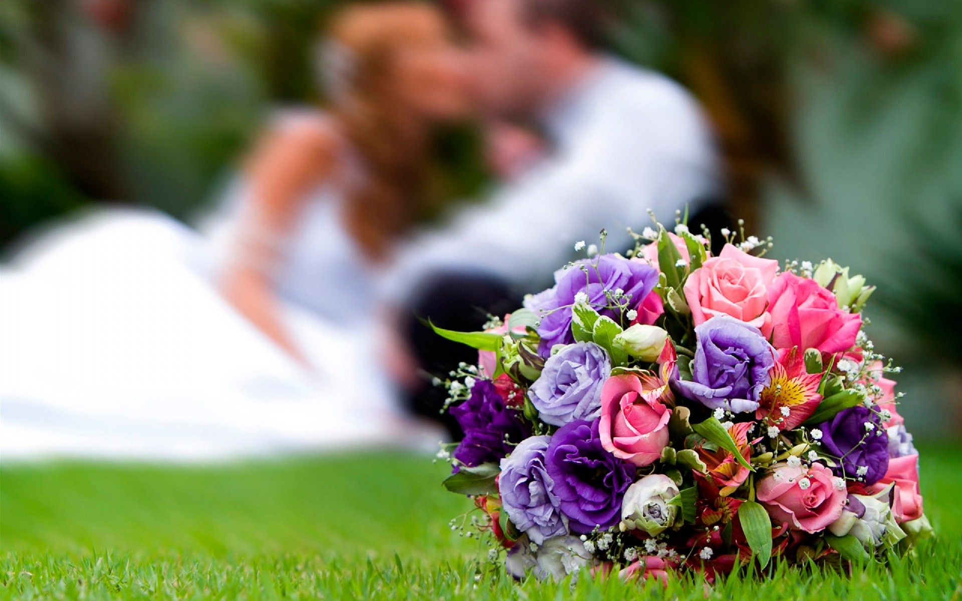 corações flor natureza jardim verão casamento rosa buquê grama amor ao ar livre folha feriado cor flora