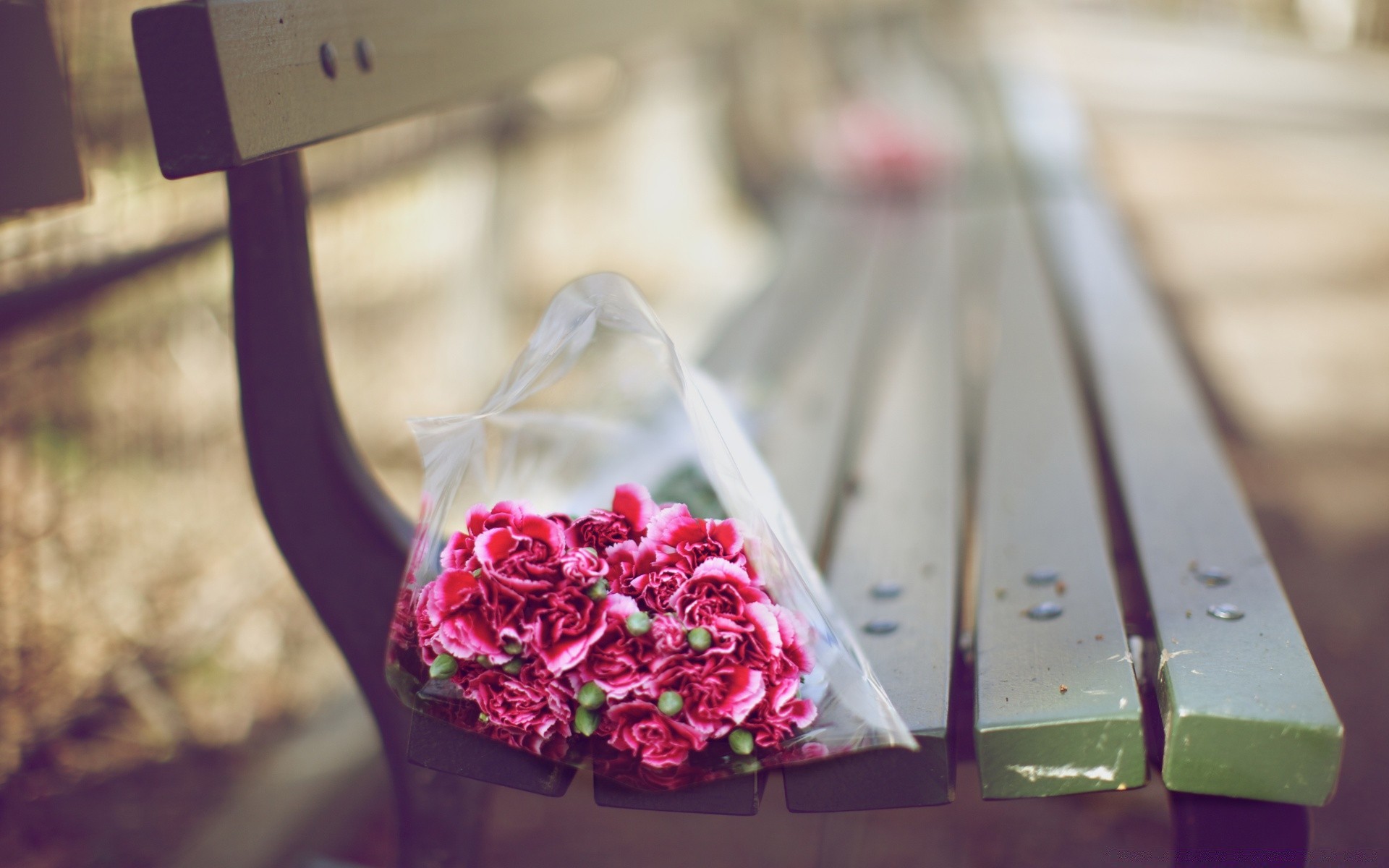 cuori di cerimonia nuziale del fiore di amore romantico rosa still life di legno di colore del regalo della decorazione di vacanza romantico