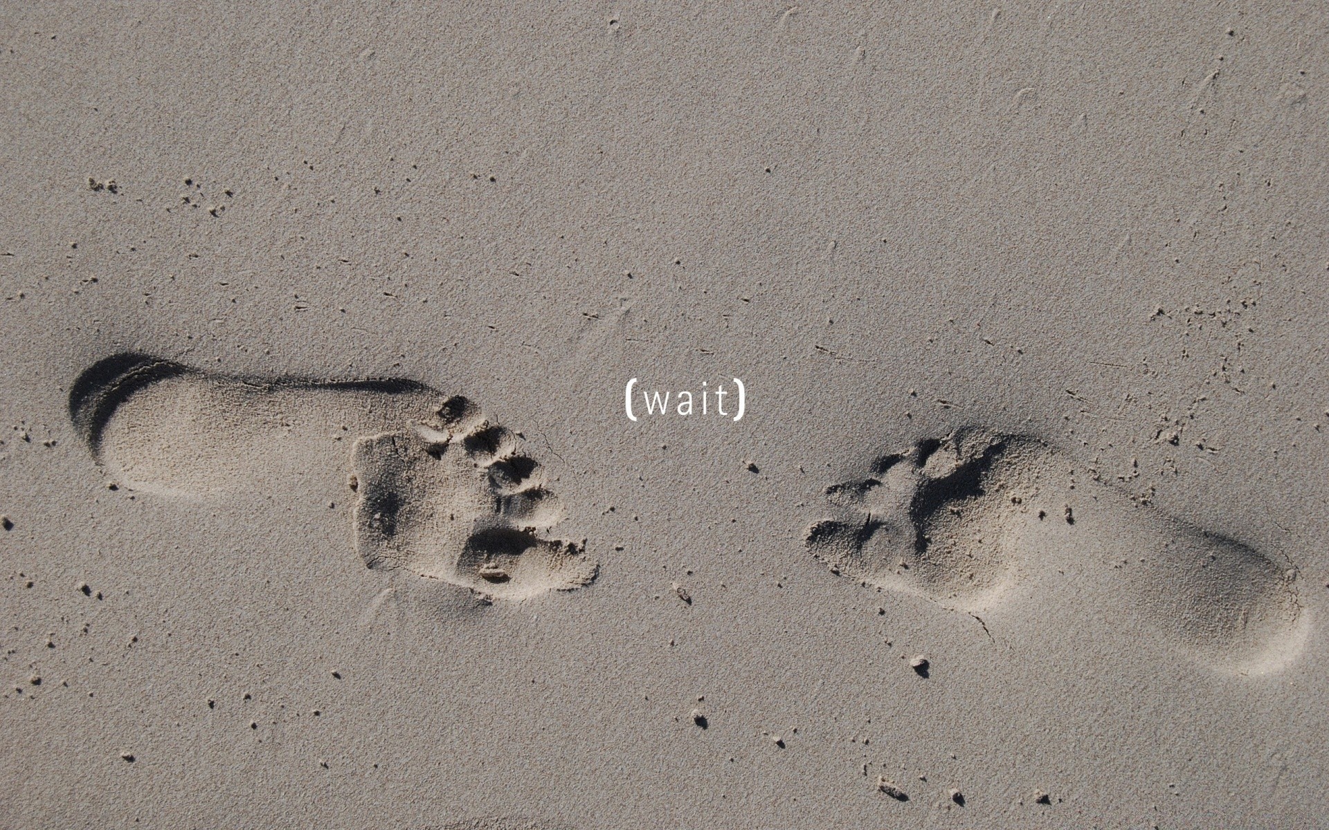 hearts sand beach footprint seashore footstep foot shore imprint desert trace vacation seaside travel step alone lost dune texture