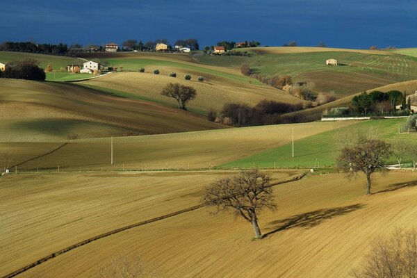 Schöne Landschaft der Natur von bewirtschafteten Flächen in der Landwirtschaft