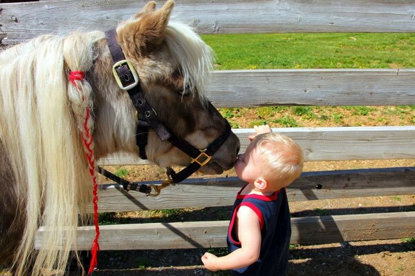 Lindo bebé al lado del caballo