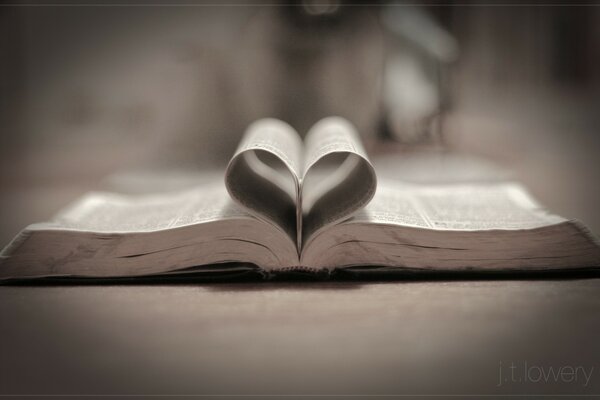 Love. A heart. Book Pages