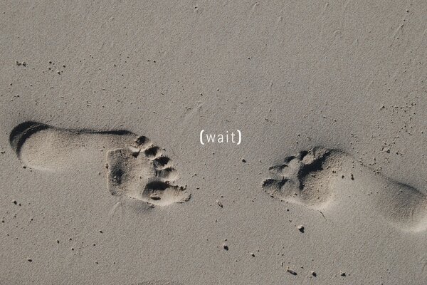 Footprints in the sand on the seashore