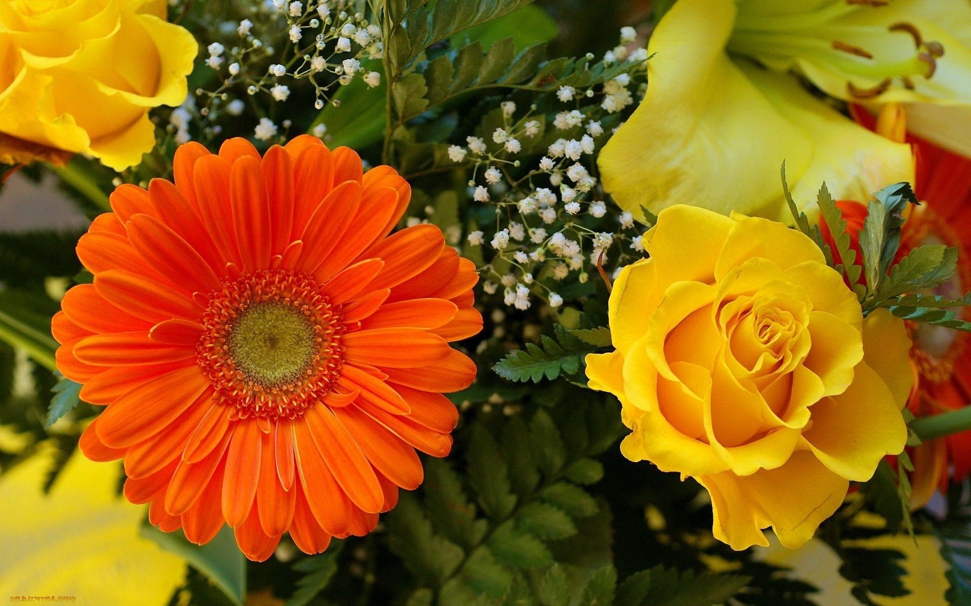 çiçek buketi çiçek doğa flora çiçek yaz yaprak taçyaprağı buket parlak bahçe çiçeklenme renk gül dekorasyon hediye sezon büyüme romantizm