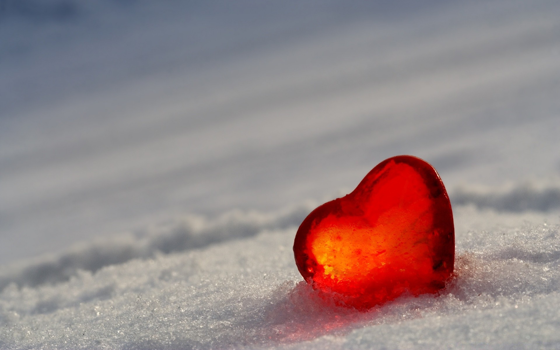 hearts snow winter cold blur frost ice landscape nature outdoors beach frozen travel sand water sky