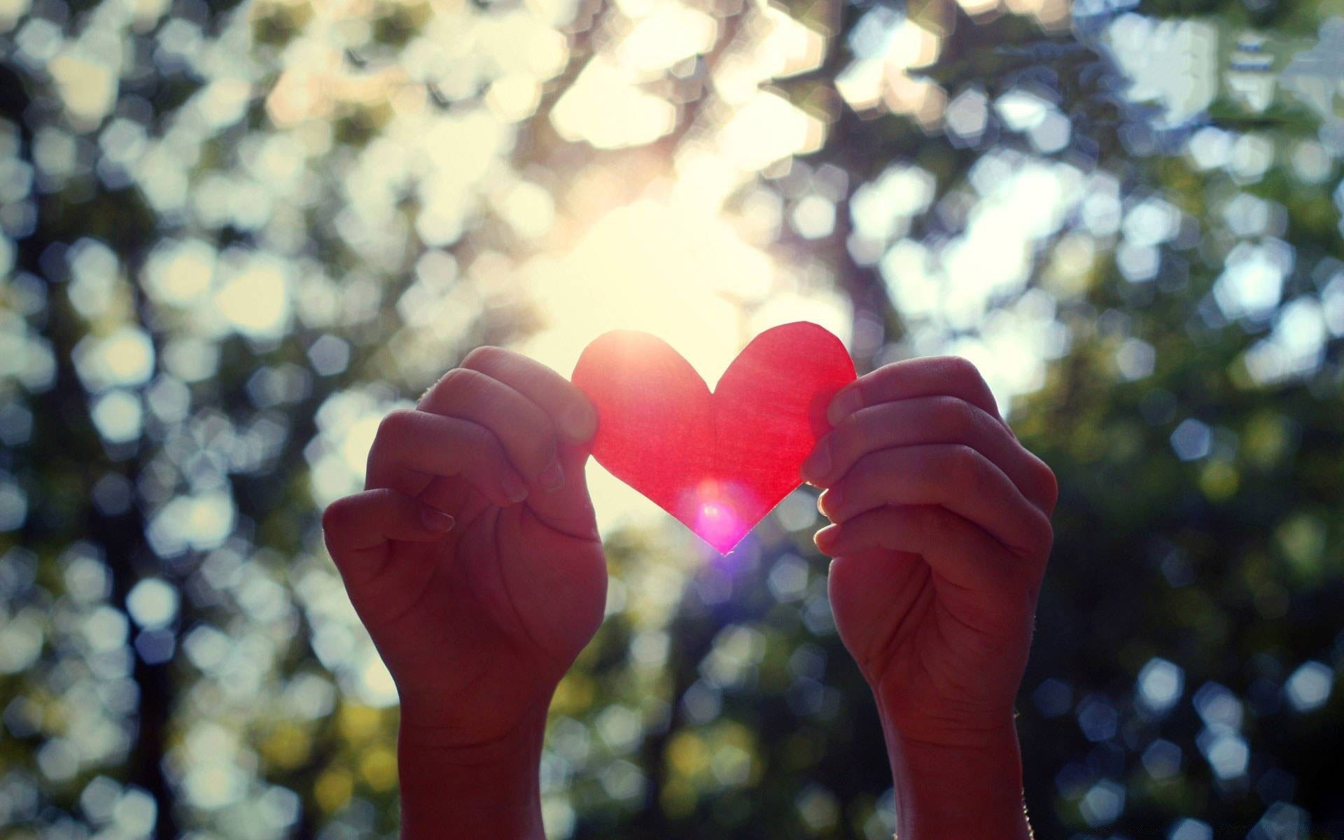 corações amor romance romântico mãos natureza coração mulher casamento menina borrada