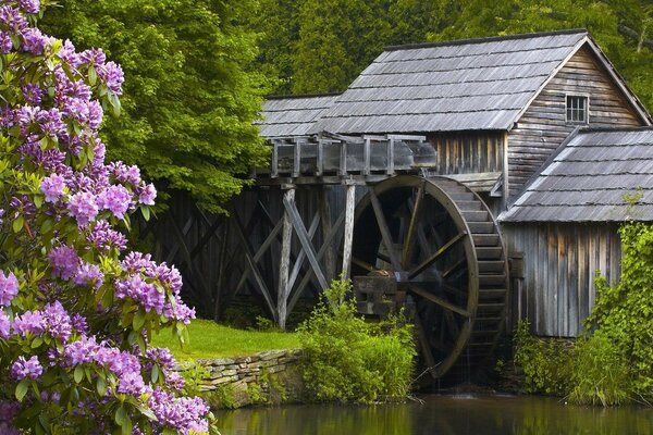 Moulin à vent autour des montagnes