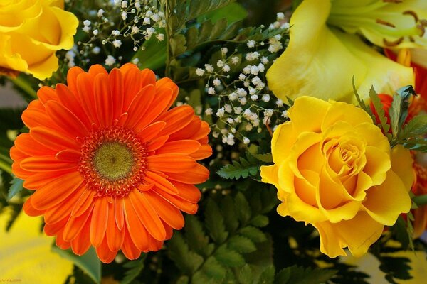 Beautiful colorful bouquet of flowers