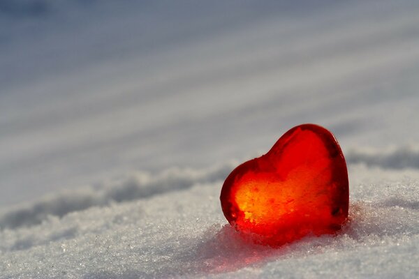 Coeur écarlate sur la neige froide blanche