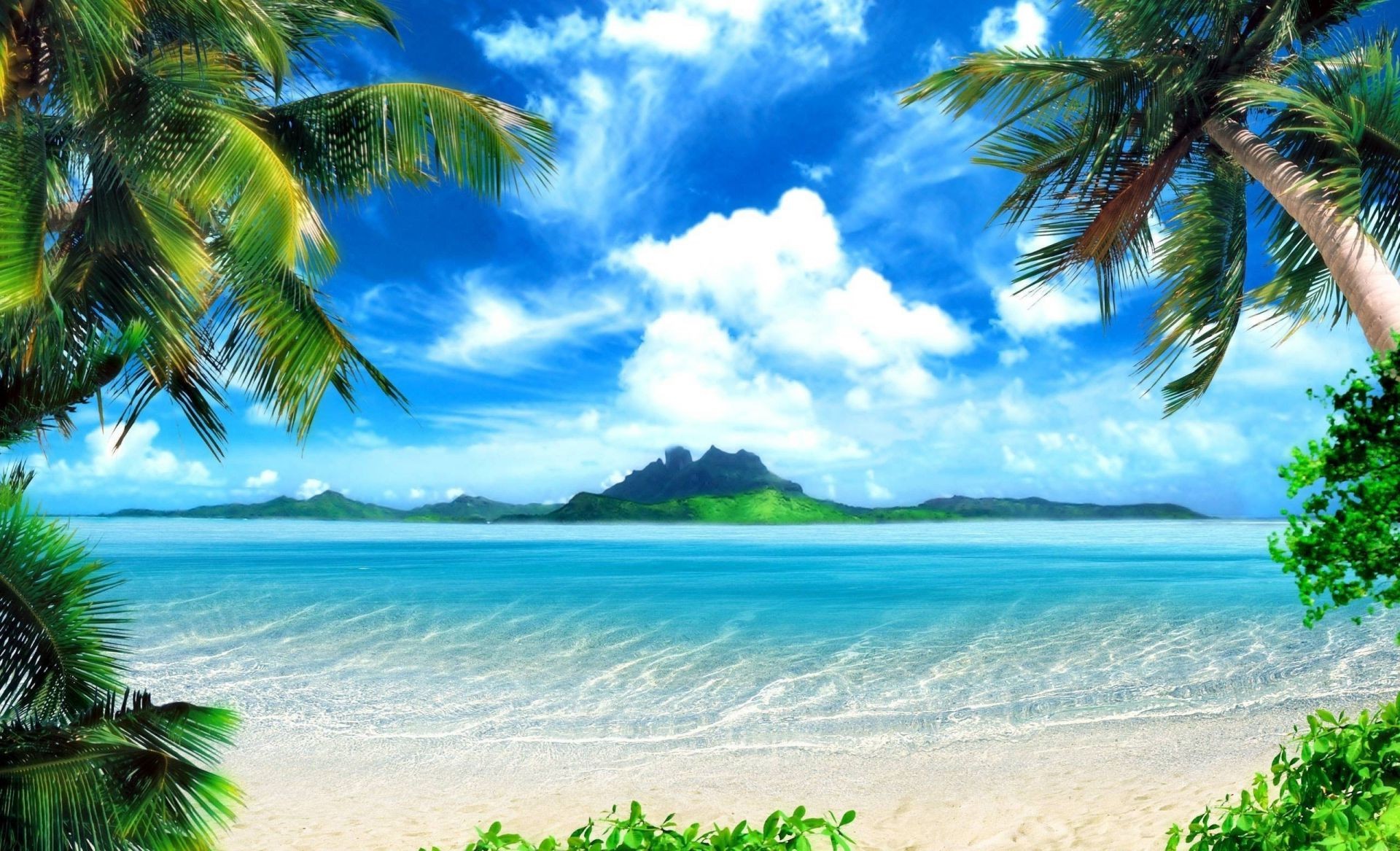 море и океан тропический пляж ладони песок остров рай кокосовое моря экзотические идиллия океан лето пейзаж бирюза курорт отпуск лагуна воды солнце релаксация
