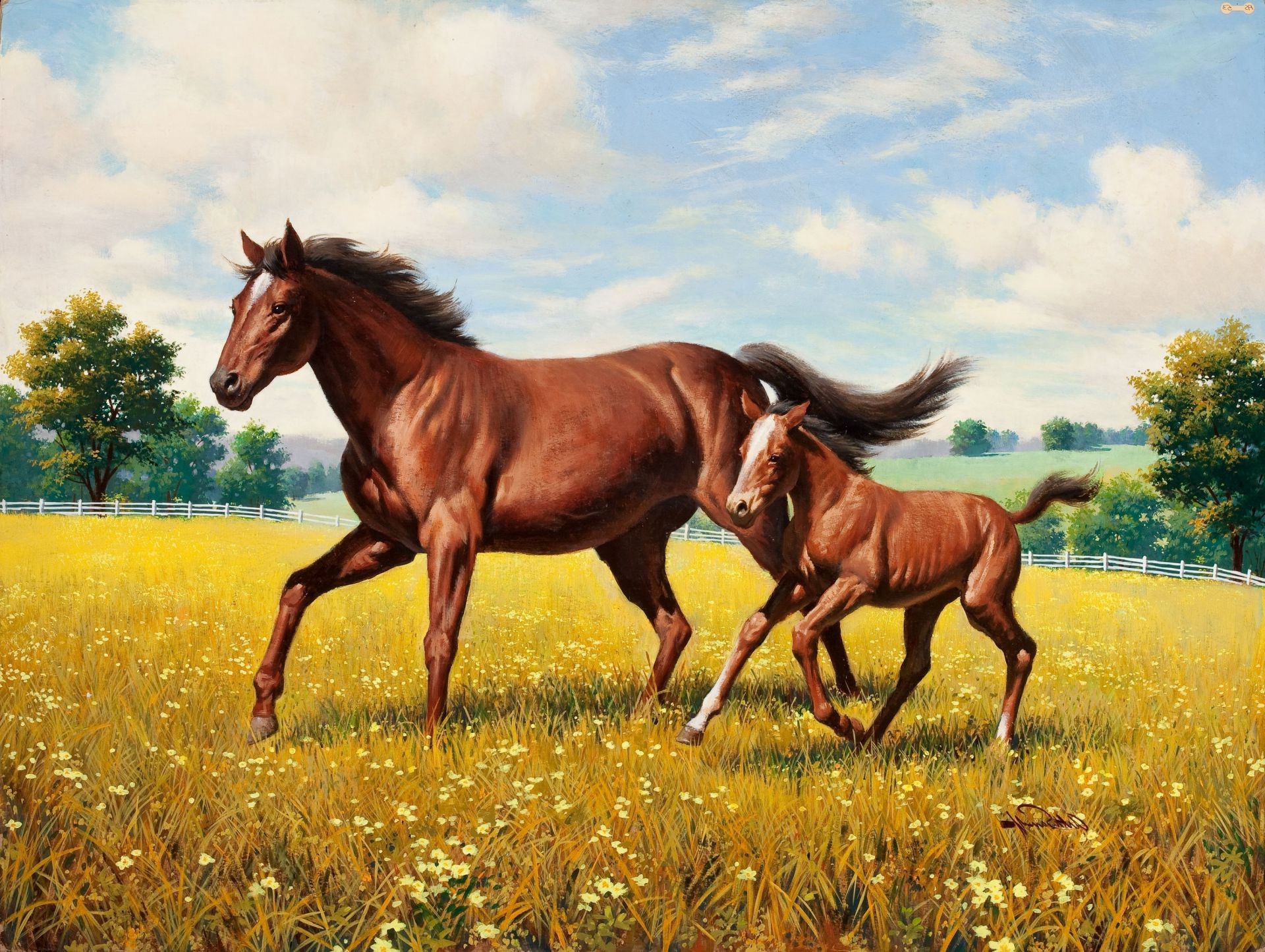 cavallo fieno cavallo erba mammifero campo pascolo mare stallone manet cavalleria fattoria equestre rurale allevamento di cavalli pascolo animali vivi animale